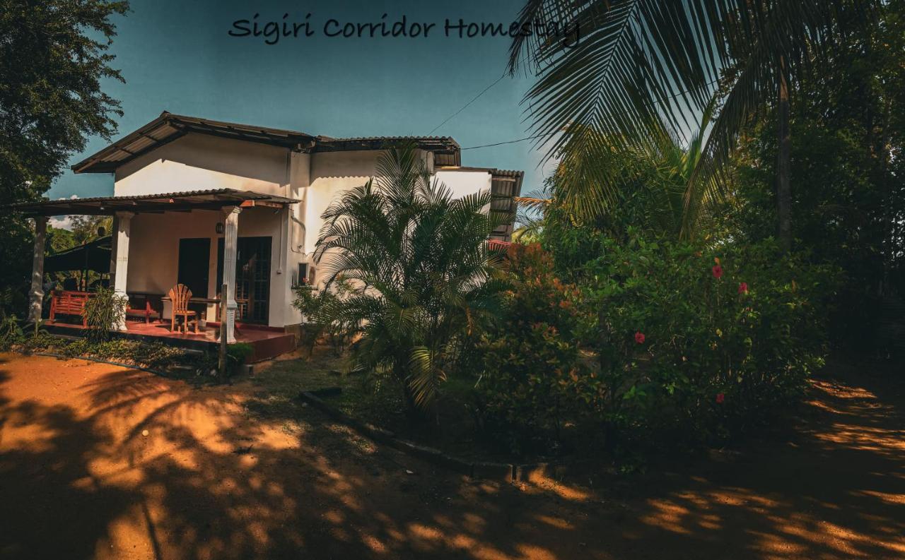 Sigiri Corridor Home Stay 锡吉里亚 外观 照片