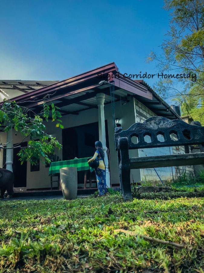 Sigiri Corridor Home Stay 锡吉里亚 外观 照片