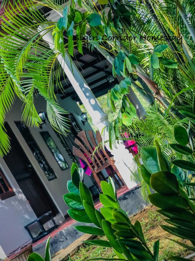 Sigiri Corridor Home Stay 锡吉里亚 外观 照片