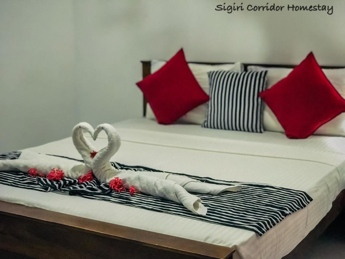 Sigiri Corridor Home Stay 锡吉里亚 外观 照片